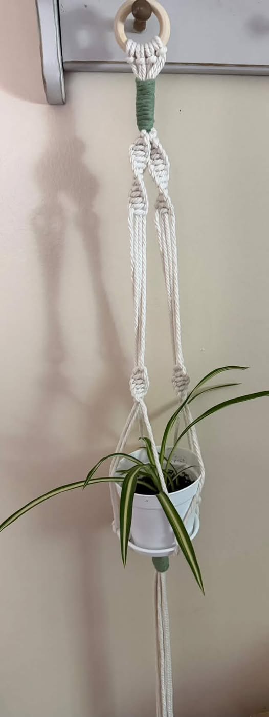 Plant Hanger