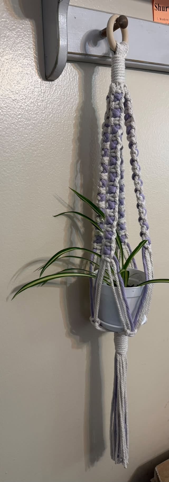 Plant Hanger X Knot
