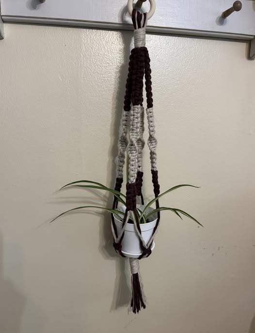 Plant Hanger Variegated