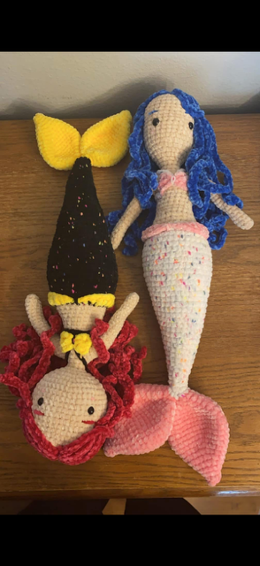 Curious Mermaid